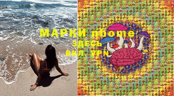 стафф Баксан