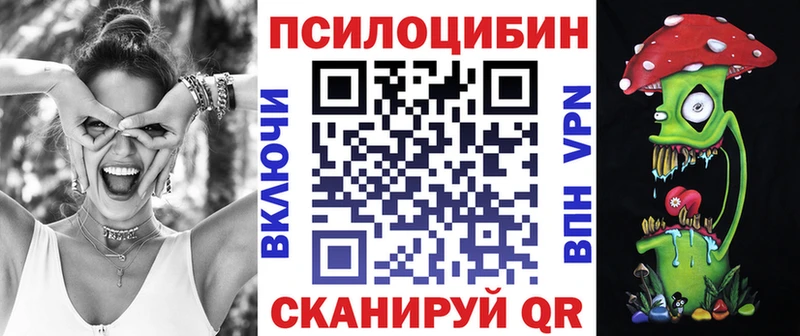 где купить наркотик  Ульяновск  Псилоцибиновые грибы мицелий 
