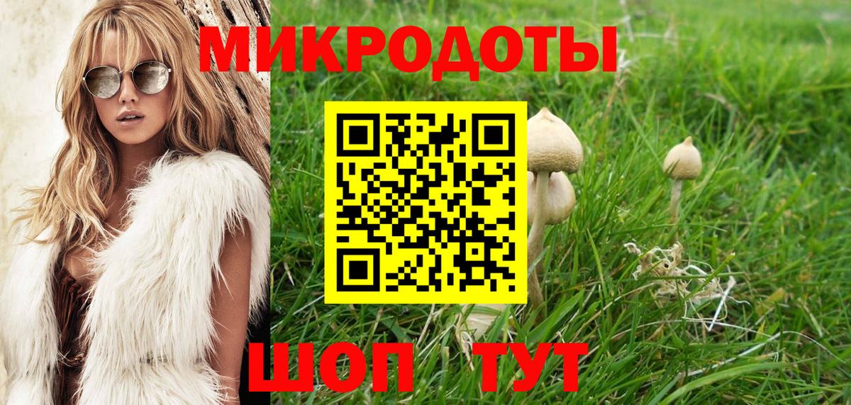 Псилоцибиновые грибы Cubensis Ульяновск